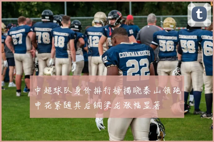 中超球队身价排行榜揭晓泰山领跑申花紧随其后铜梁龙涨幅显著